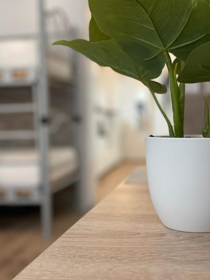 Flatprovider Hp Apartment Wien Exteriör bild